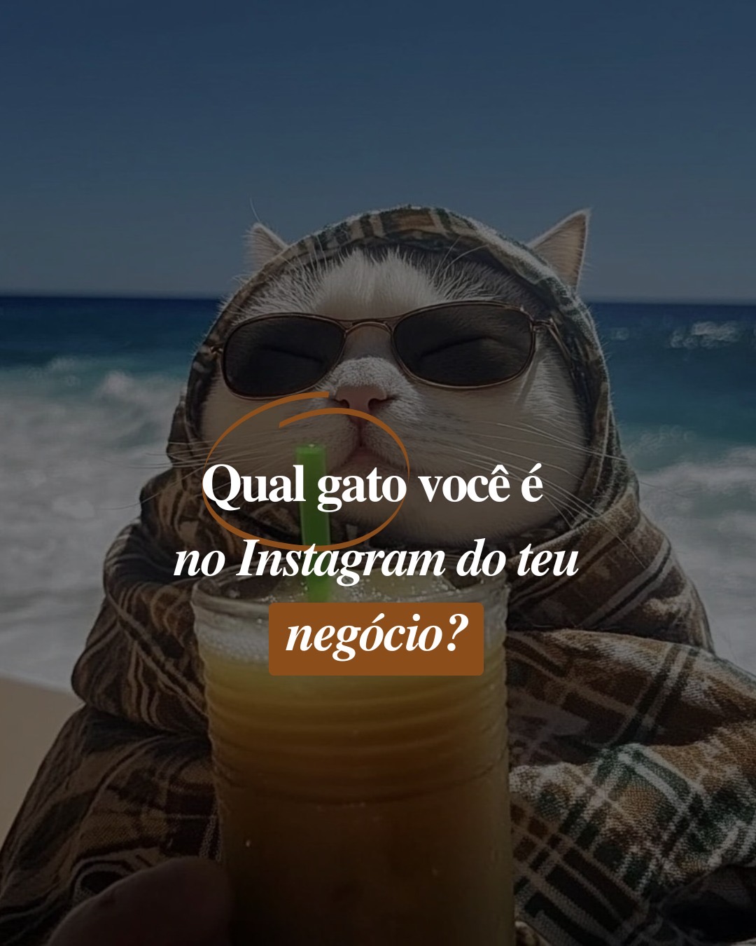 Qual gato você é - capa